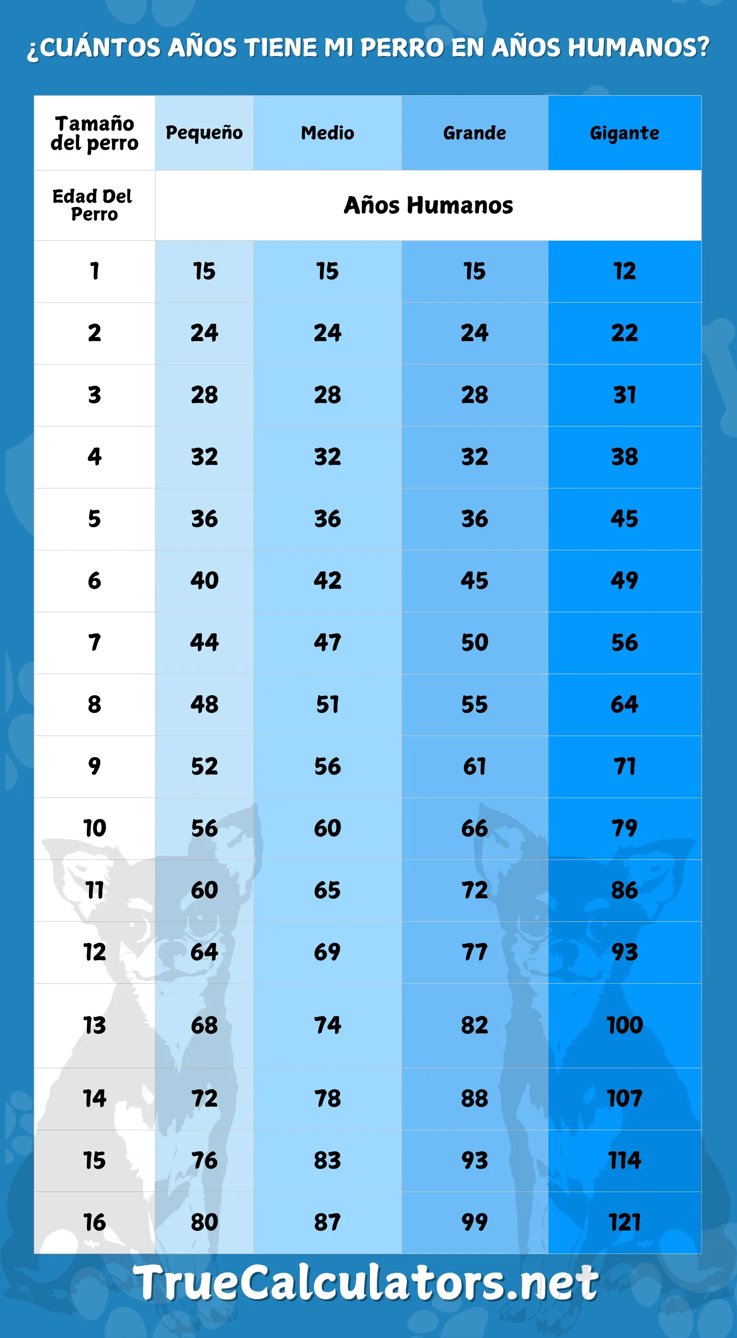 ¿Qué edad tiene mi perro en años humanos? - Tabla de edad del perro