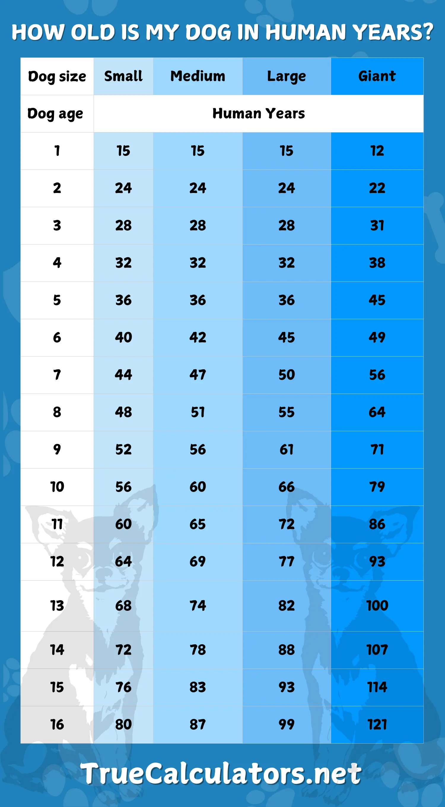 'How old is my dog in human years?